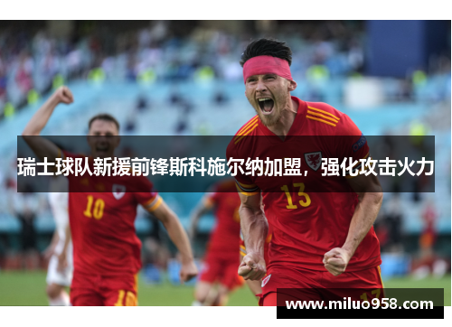 瑞士球队新援前锋斯科施尔纳加盟，强化攻击火力