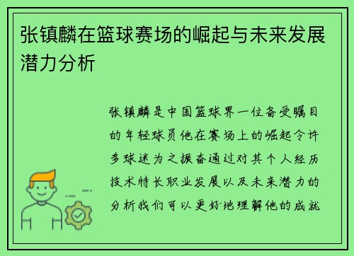 张镇麟在篮球赛场的崛起与未来发展潜力分析