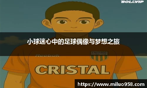 小球迷心中的足球偶像与梦想之旅